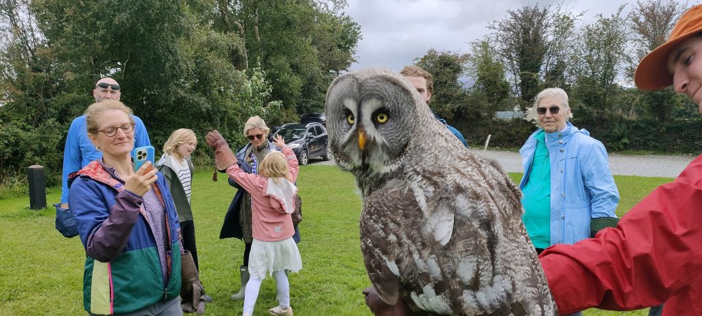 A large owl is perched on a person's arm as a group gathers, snapping photos during an Irish Tours adventure. The scene unfolds outdoors on a grassy area, framed by trees and under cloudy skies—a quintessential moment on Escorted & Private Tours of Ireland.